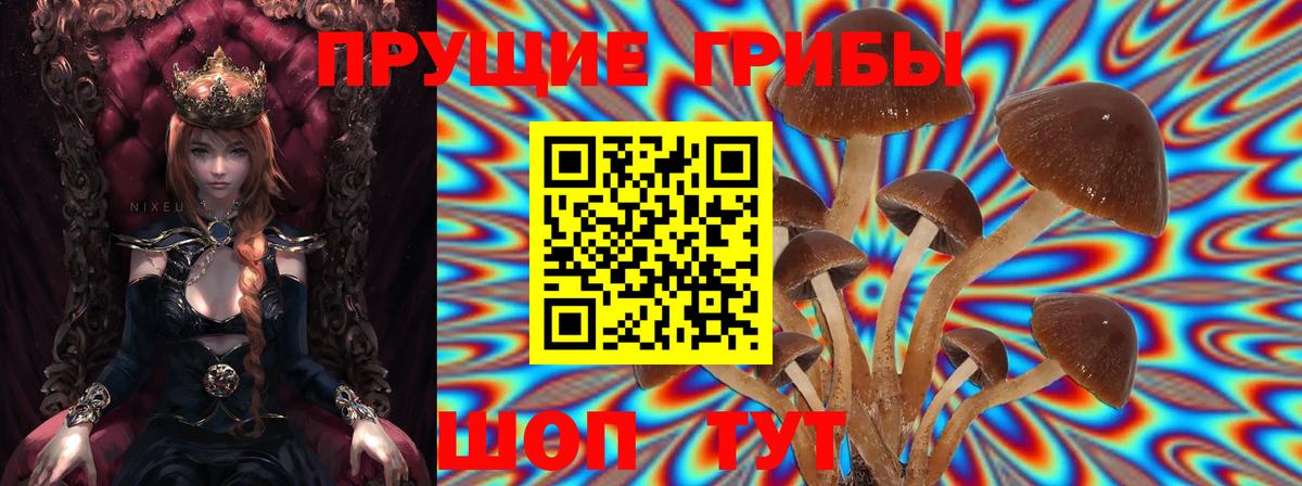 Псилоцибиновые грибы мухоморы Партизанск