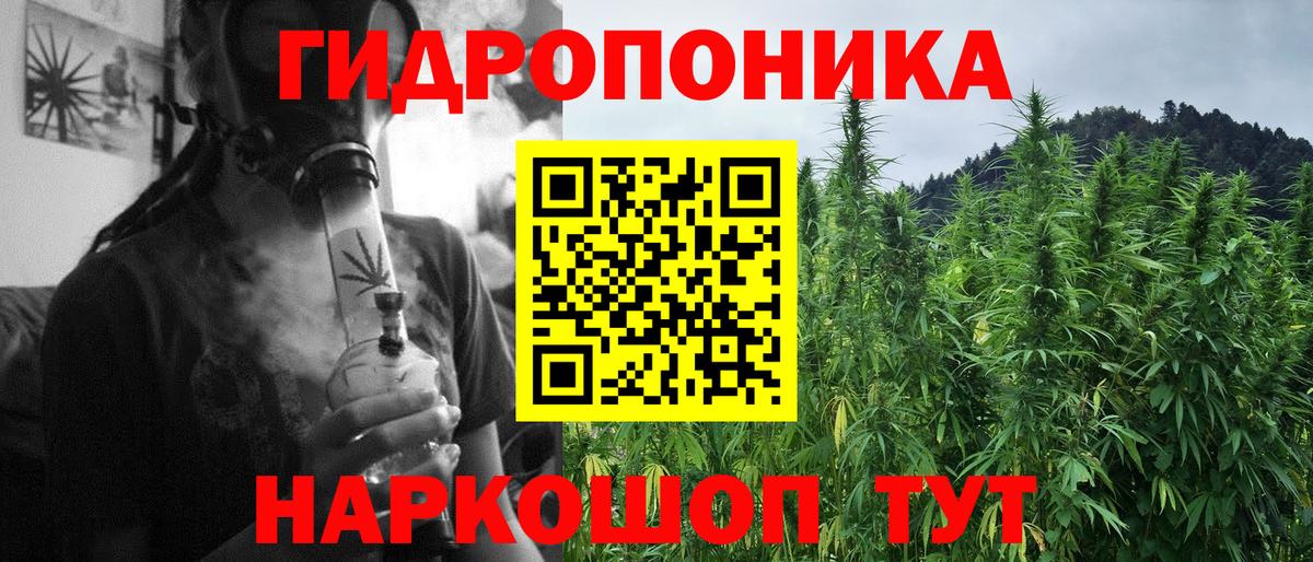 Шишки марихуана семена  Конопля сатива  Вход с VPN  Каннабис гибрид  Партизанск 